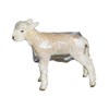 Picture of Shearwell Clear Lamb Macs - 100 Pack